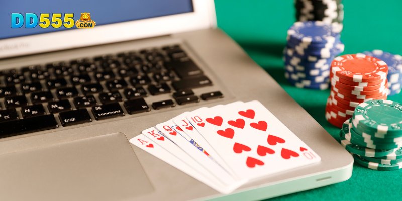 Conheça o serviço completo e moderno de apostas da DD555